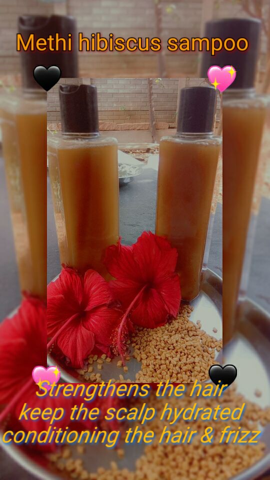 Methi Hibiscus Shampoo 120ml - Image 3